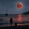 Una cita nocturna con el cielo: la magia de la el eclipse de Luna, engalana la bahía de Santa Marta